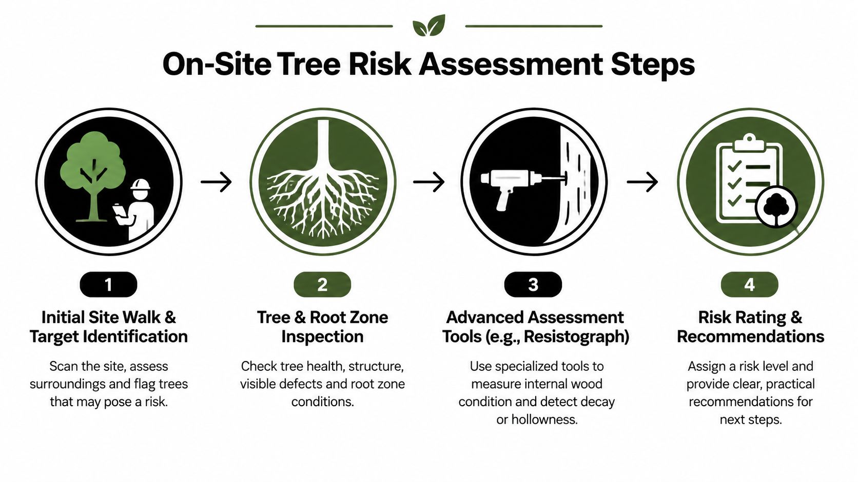 A diagram outlining the four-step process for conducting an on-site tree risk assessment by a professional arborist.