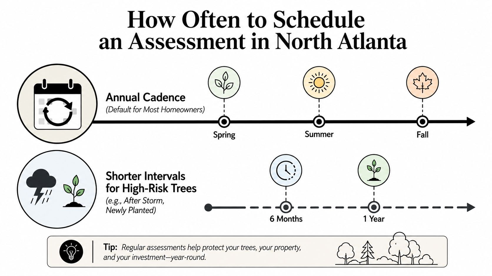 An infographic showing recommended schedules for tree health assessments in North Atlanta for different tree types.